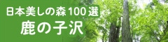 日本美しの森100選-鹿の子沢