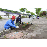 5月30日、若松自治会の花植え