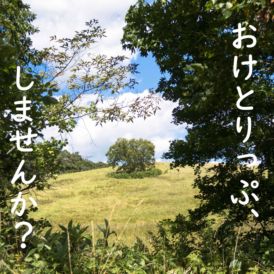 おけとりっぷ、しませんか？