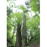 広報おけと2020年7月号表紙