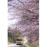 川南、道路清掃風景