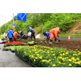 6月4日、北光パーキングの花壇づくり