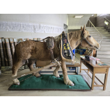 馬の剝製