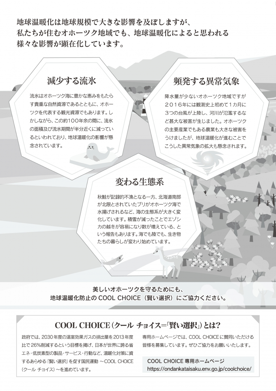 クールチョイスチラシ裏