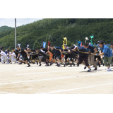 おけと人間ばん馬大会